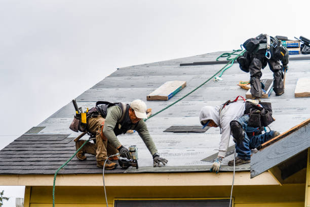 Professional Gutter Installation technician working in Little Elm, TX